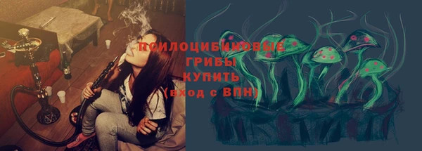 ПСИЛОЦИБИНОВЫЕ ГРИБЫ Баксан
